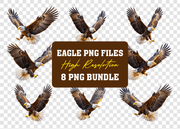 3D Bald American Eagle Flying PNG Bundle: A Practical Asset for Designers